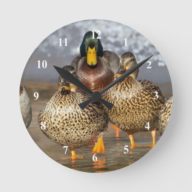 Wildlife Mallard Ducks Foto Runde Wanduhr (Vorderseite)