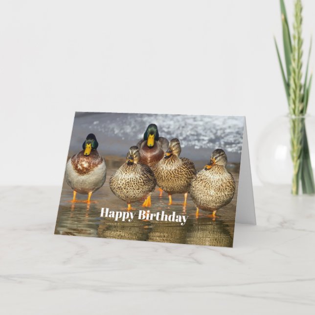 Wildlife Mallard Encks Foto Geburtstag Karte (Vorderseite)