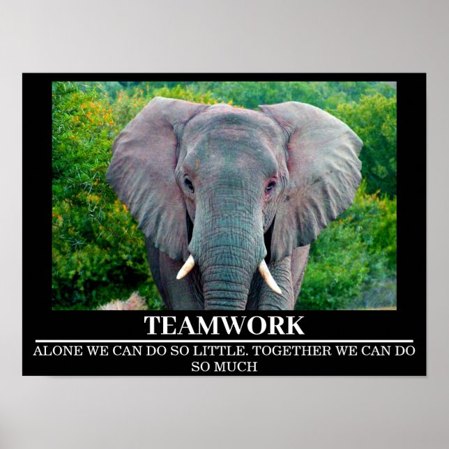 Wildlife Motivierend Posters Elephant Teamwork Poster (Vorne)