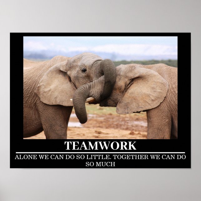 Wildlife Motivierend Posters Elephant Teamwork Poster (Vorne)