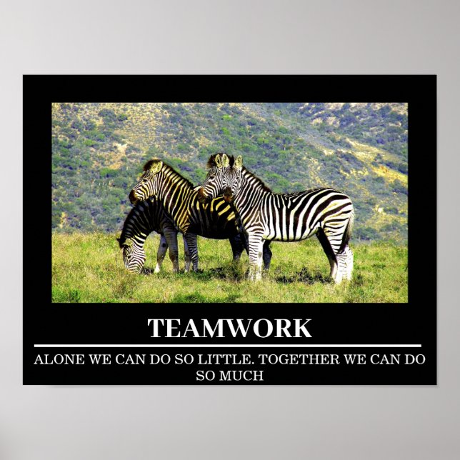 Wildlife Motivierend Posters Zebra Teamwork Poster (Vorne)