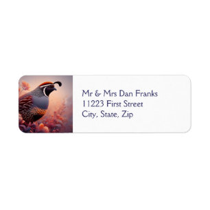 Wildlife Nature California Quail Bird