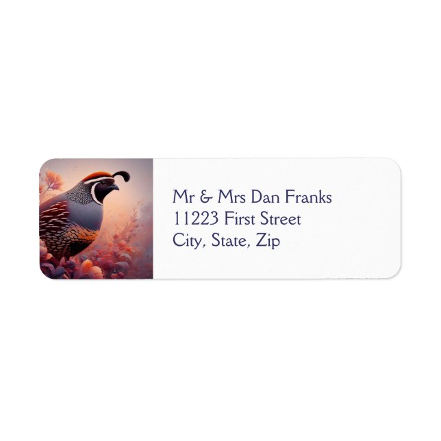 Wildlife Nature California Quail Bird (Vorne)