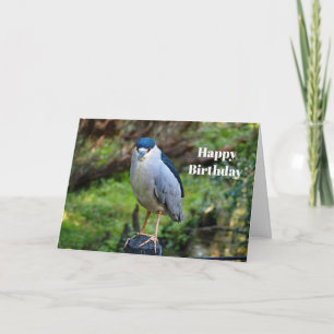 Wildlife Night Heron Foto Geburtstag Karte