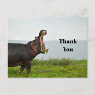 Wildlife Nilpferd Foto Danke Postkarte