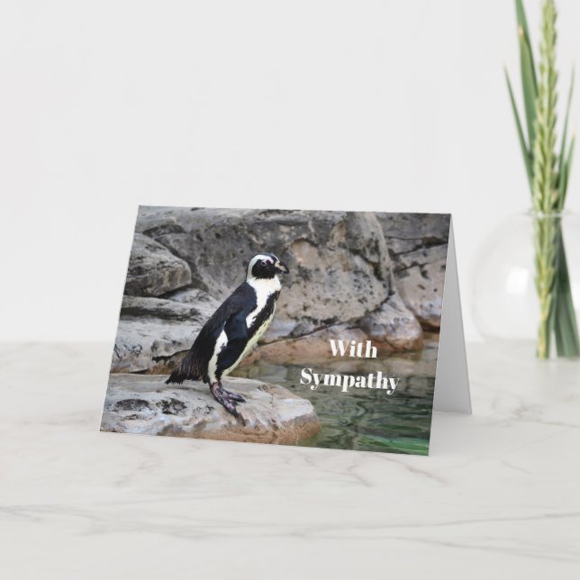Wildlife Penguin Foto Beileid Karte (Vorderseite)