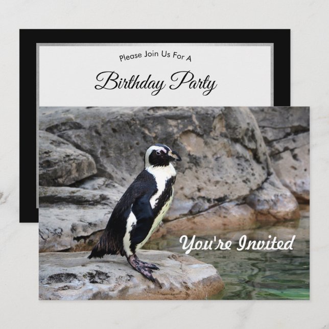 Wildlife Penguin Foto Geburtstag Einladung (Vorne/Hinten)