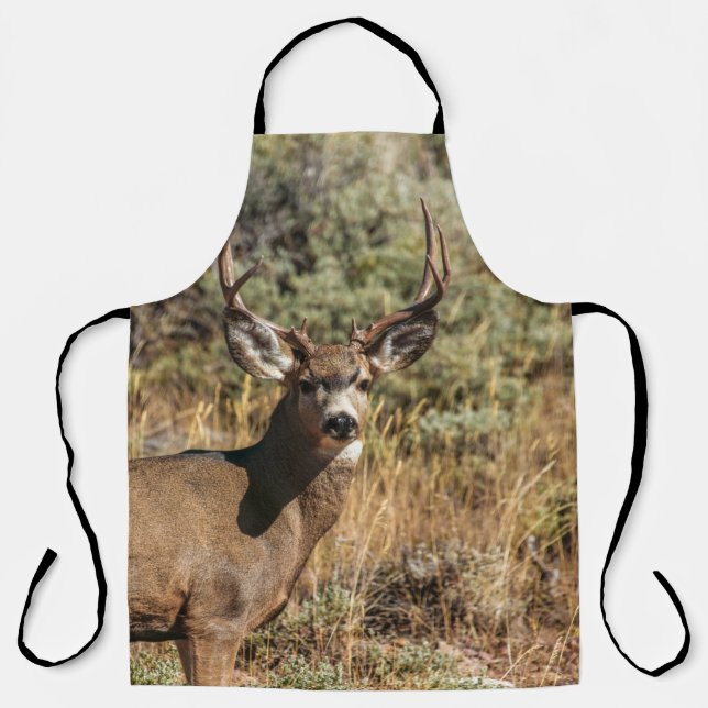 WILDLIFE PHOTOGRAPHY OF BROWN BUCK SCHÜRZE (Vorderseite)