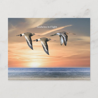 Wildlife Postkarte