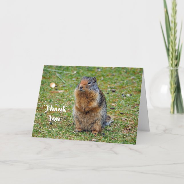Wildlife Prairie Dog Mammal Foto Dankeskarte (Vorderseite)