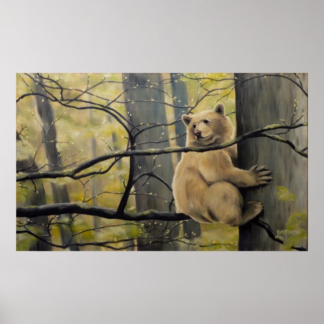 Wildlife Prints Canadian Kermode Bear Painting Poster (Vorne)