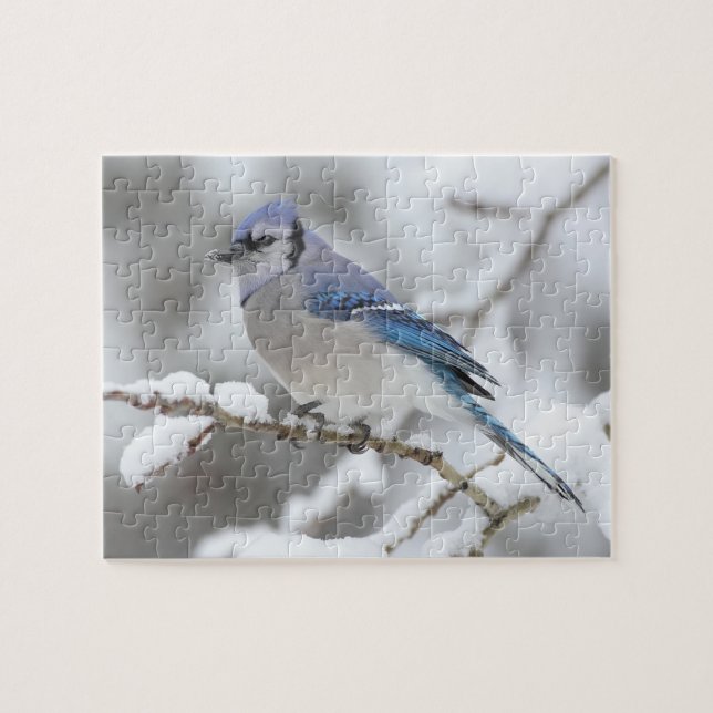 Wildlife Puzzle-Blue-Jay (Horizontal)