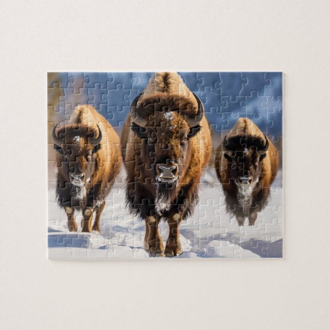 Wildlife Puzzle-Buffalo (Horizontal)