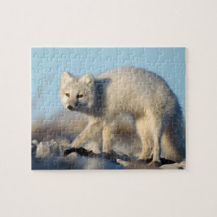 Wildlife Puzzle-Fox