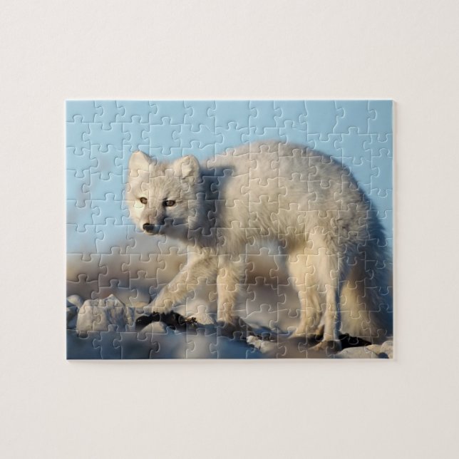 Wildlife Puzzle-Fox (Horizontal)
