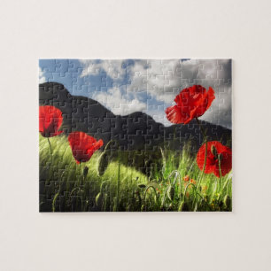 Wildlife-Puzzle-Rote Mohnblumen