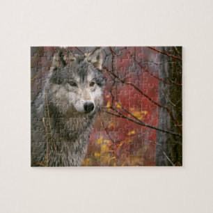 Wildlife Puzzle-Wolf