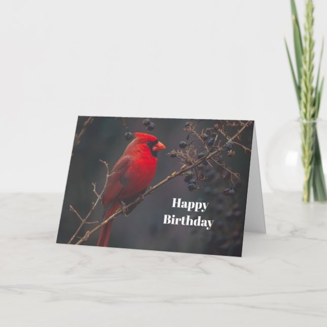 Wildlife Red Kardinal Birthday Karte (Vorderseite)