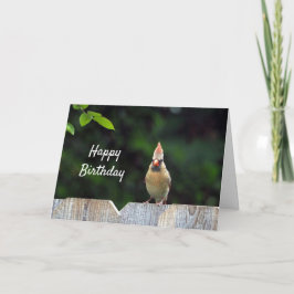 Wildlife Red Kardinal Fence Birthday Karte