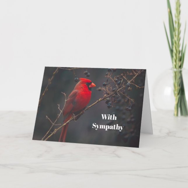 Wildlife Red Kardinal Foto Beileid Karte (Vorderseite)
