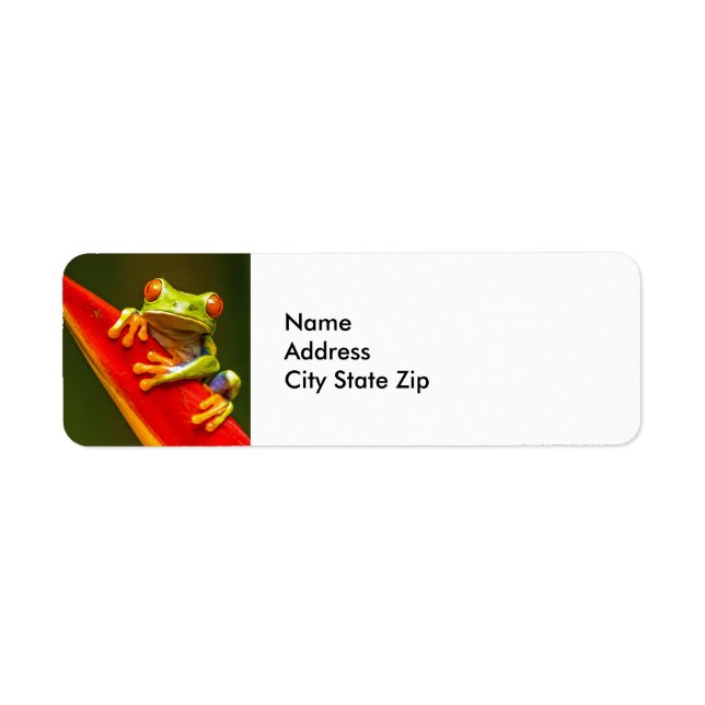 Wildlife Red Mit Augen Tree Frog Foto (Vorne)