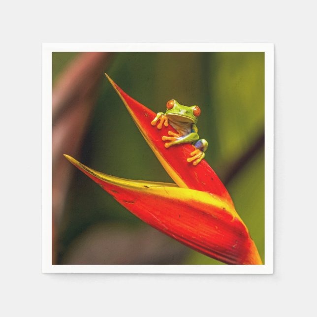 Wildlife Red Mit Augen Tree Frog Foto Serviette (Vorderseite)