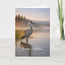 Wildlife Sandhill-Kranich Misty Lake Szene Geburts