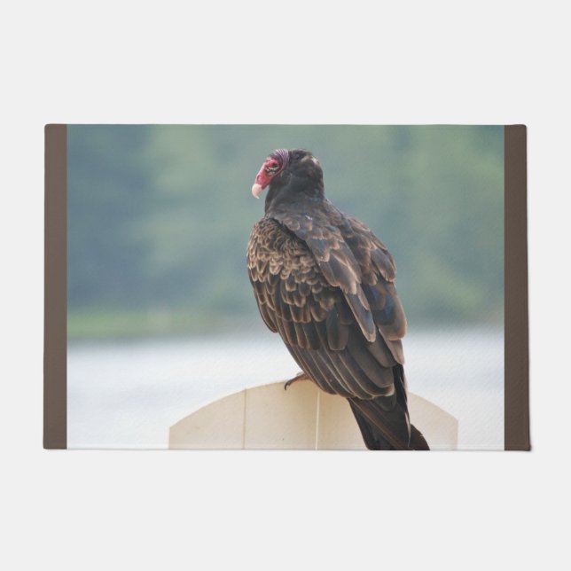 Wildlife Turkey Buzzard Fußmatte (Vorderseite)