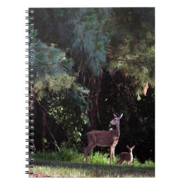 Wildlife Watercolor Notizblock