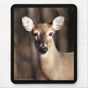 Wildlife-Weißwedelhirsch-Weibchen-Porträt Mousepad