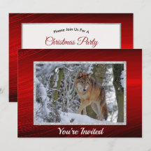 Wildlife Wolf Snow Foto Weihnachten