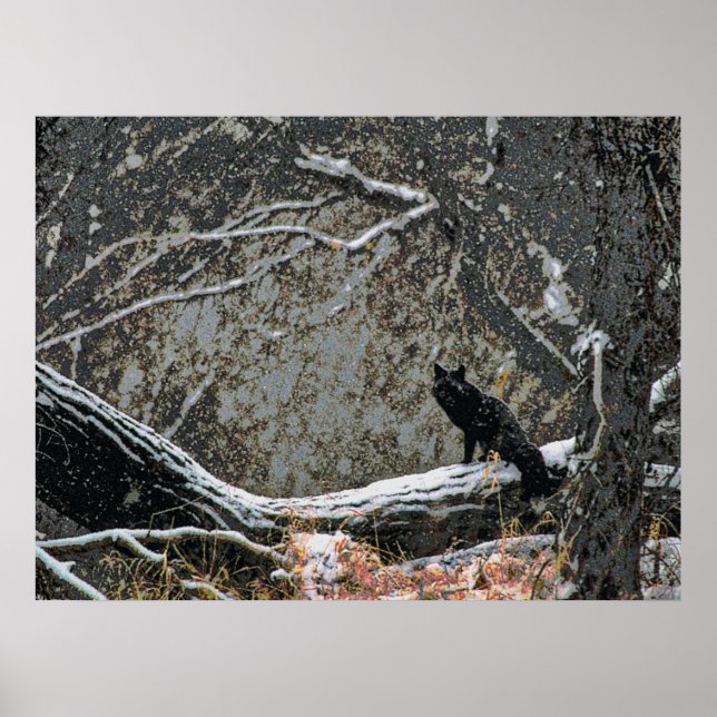 Wildnis 8 cmyk poster (Vorne)