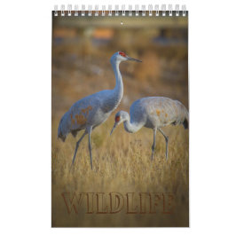 Wildnis Kalender