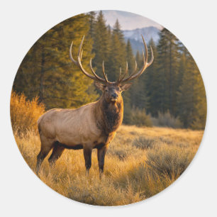 Wildnis Majestätischer Wapiti Bergwald Runder Aufkleber