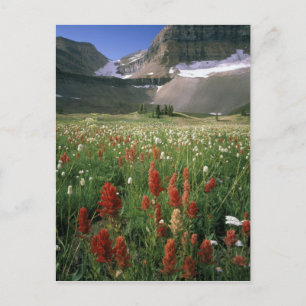 WILDNISGEBIET MOUNT TIMPANOGOS, UT, US, POSTKARTE