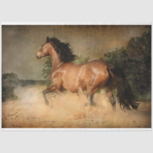 Wildpappenpapier Seidenpapier