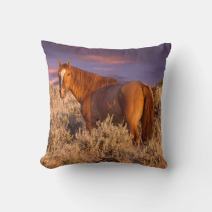 Wildpferd im Harney County steht wach Kissen