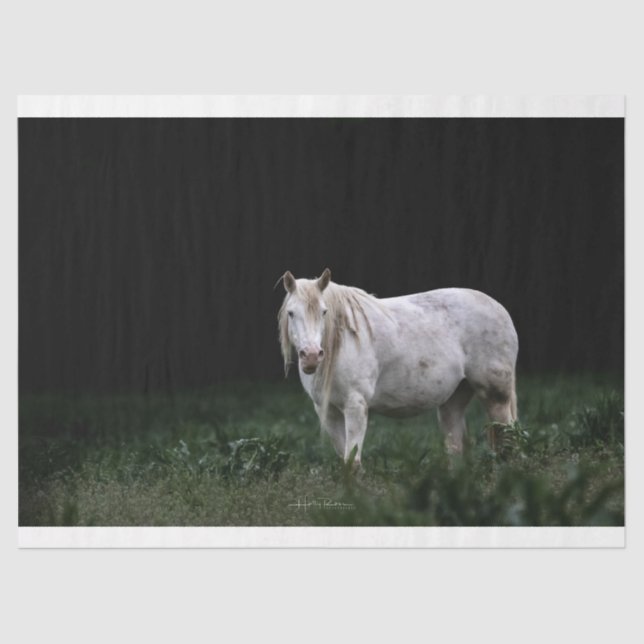 Wildpferd Seidenpapier (Vorderseite)