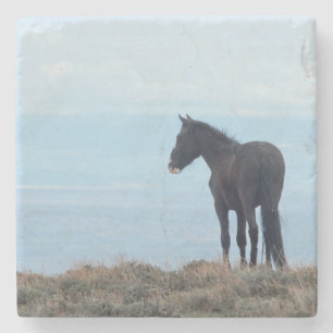Wildpferd steinuntersetzer