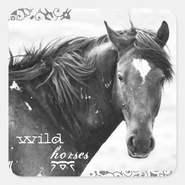 Wildpferd Südwest Foto Stickers (Vorderseite)
