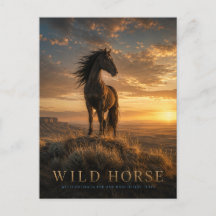 Wildpferd Western Grasland TIEREN