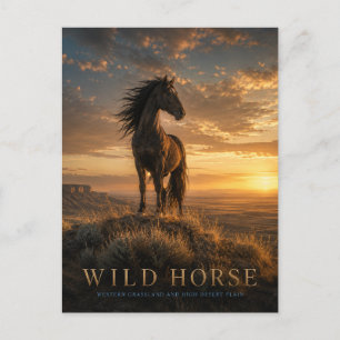 Wildpferd Western Grasland TIEREN Postkarte