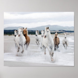 Wildpferde am Strand Poster
