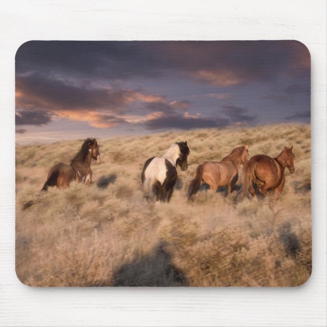 Wildpferde laufen mousepad (Vorne)