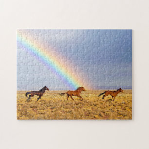 Wildpferde mit Regenbogen