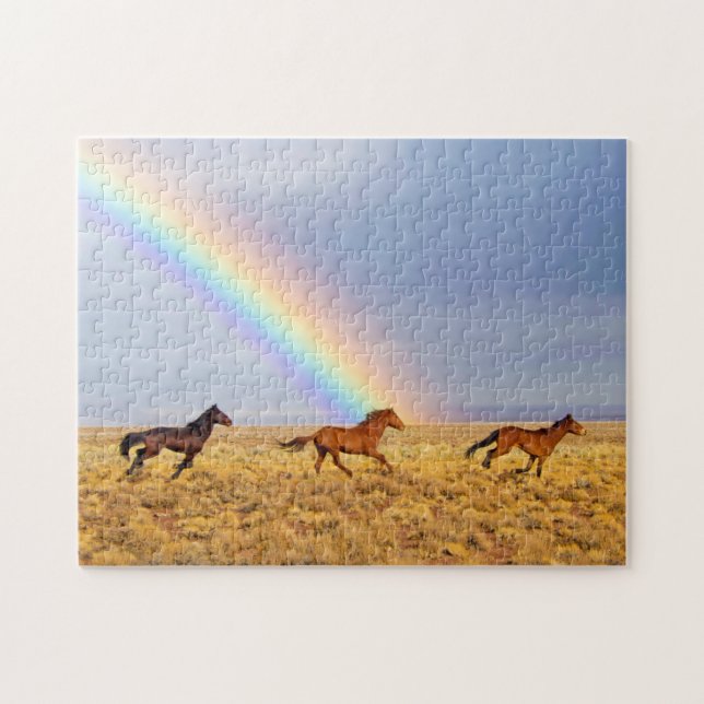 Wildpferde mit Regenbogen (Horizontal)