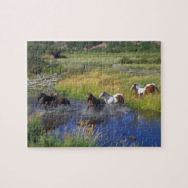 Wildpferde Puzzle (Horizontal)