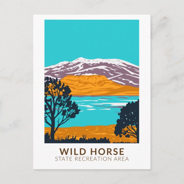 Wildpferde Staat Erholungsgebiet Nevada Vintag Postkarte (Vorderseite)