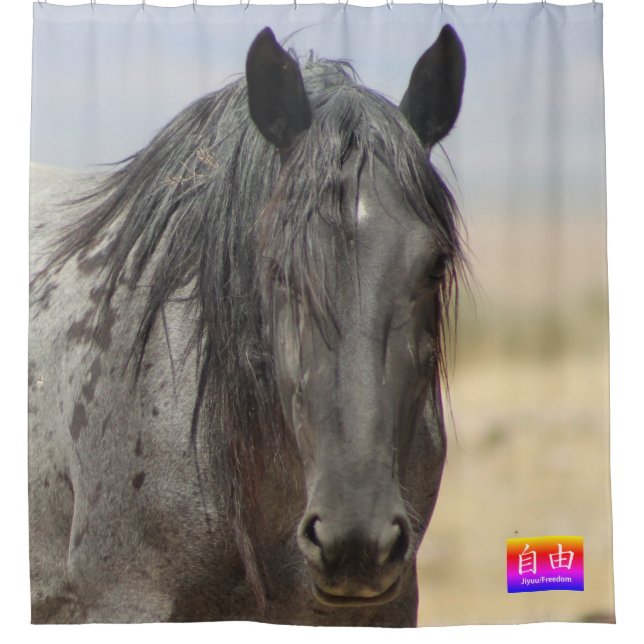 WILDPFERDE VON UTAH KANJI FREEDOM SHOWER CURTAIN DUSCHVORHANG (Vorderseite)