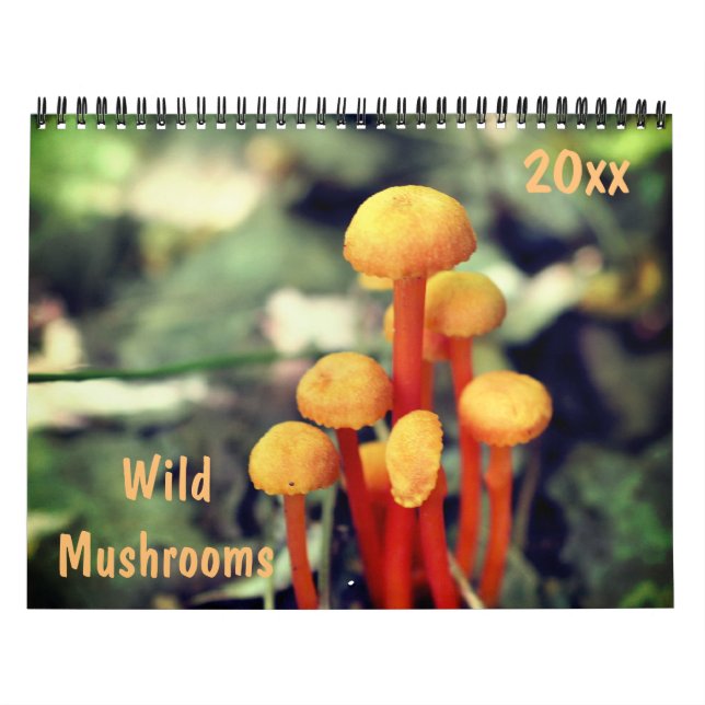 Wildpilz-Fotografie  Kalender (Titelbild)